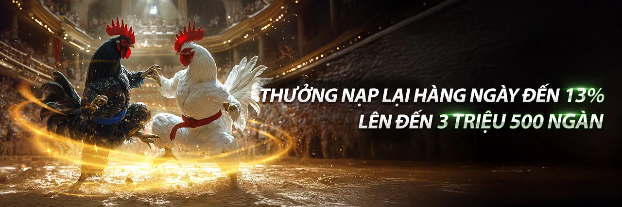 Hình ảnh đại diện cho các điều khoản và điều kiện của 8888vnd chính thức